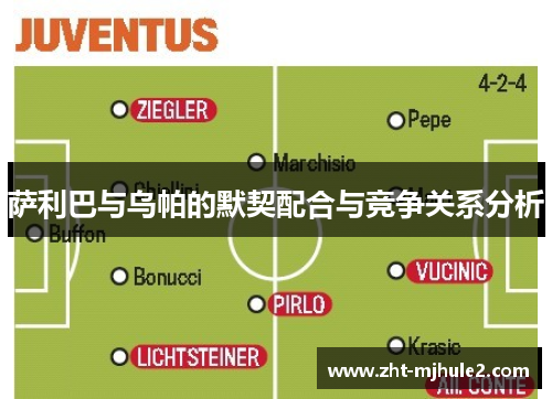 萨利巴与乌帕的默契配合与竞争关系分析 萨利巴与乌帕的默契配合与竞争关系分析